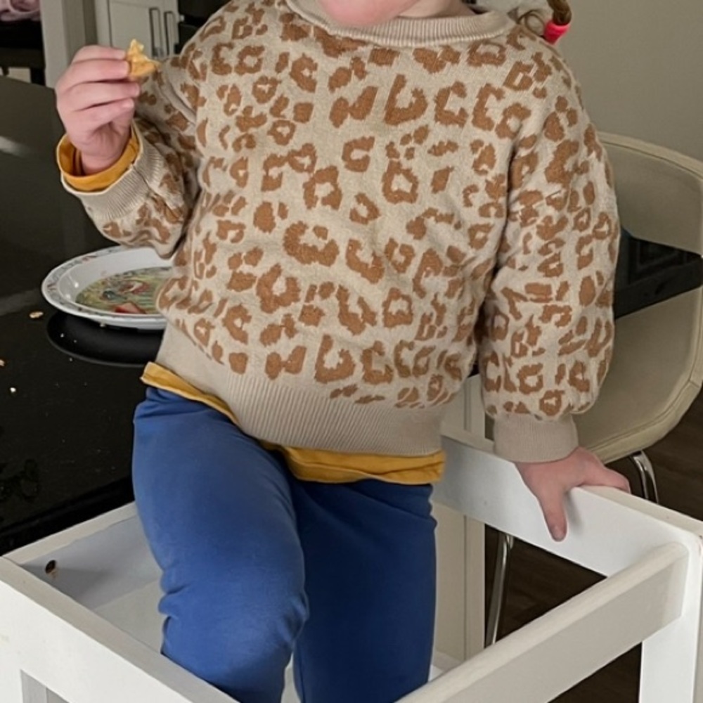 GAP animal print heavy weight sweater size 2T